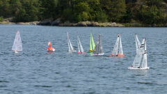 DSC_2461